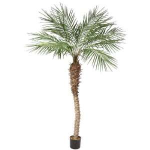    7 Potted Artificial Regal Phoenix Palm Tree
