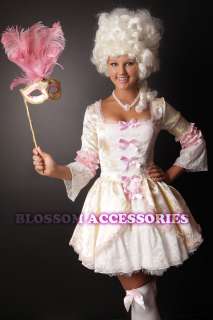 Pink Marie Antoinette Renaissance Masquerade Ball Fancy Dress 