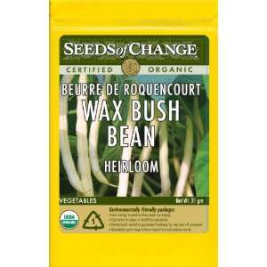   Organic Beurre de Roquencourt Bush Bean, 100 Seed Count Patio, Lawn