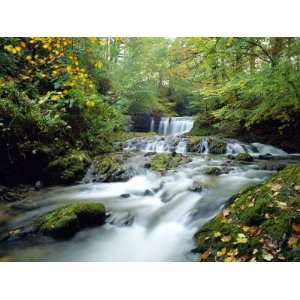  Stock Ghyll Beck, Ambleside, Lake District, Cumbria 