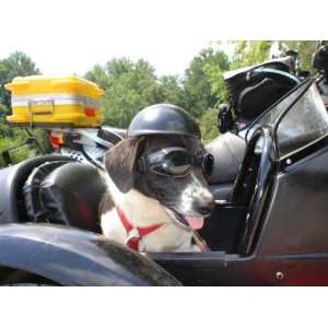  Doggie Bike or Motorcycle Helmet ~ Small Pink Everything 