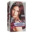   Shimmering Colour 3X Highlights Permanent Haircolour Gel 36 Chocolate