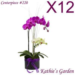 12 Wedding / Quinceaneras Centerpieces   Fresh Orchid Arrangements x12 