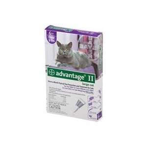   CAT, Color PURPLE; Size OVER 10LB/4PACK (Catalog Category CatFLEA