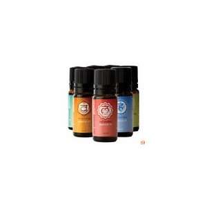  Chakra Blend Essential Oil For Use with AromaSteam System 