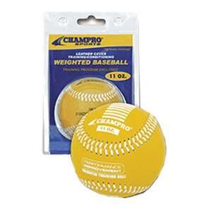 Champro Weighted Training Baseballs GOLD 11 OZ.   CLAMSHELL PACKAGING