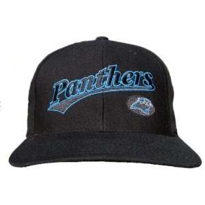  Vintage Carolina Panthers NHL Snapback Hat Cap   Black 