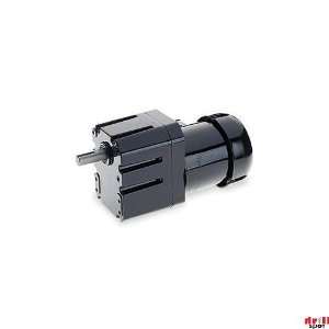  DAYTON 2H616 Gearmotor,AC,6 RPM