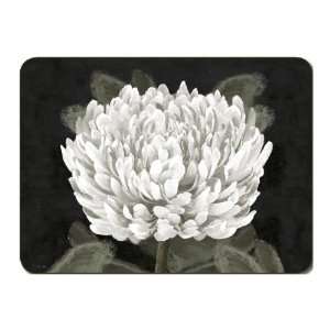 Jason White Chrysanthemum Coasters   Set of 6