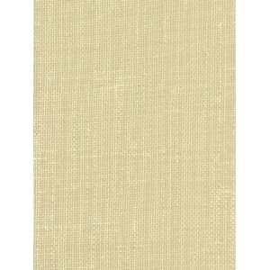 Robert Allen RA Shimadzu   Parchment Fabric