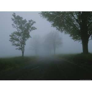  Early Morning Fog Along a Country Road Premium 