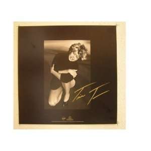 Tina Turner Poster Flat Wildest Dreams 2 sided