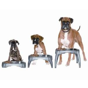  Adjustable Elevated Dog Dishes