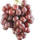Great Tasting Fruiting Vines SWEET GIANT RED GLOBE GRAPE Seeds