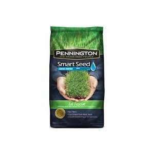    Smart Seed Tall Fescue Blend Grass Seed, 20lb Patio, Lawn & Garden