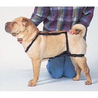 Classic Adjustable No Jump Dog Harness by Classic