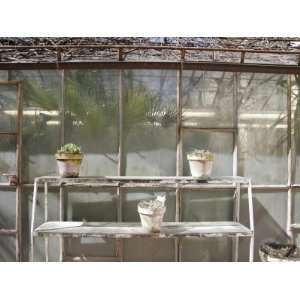 Potted Plants on Outdoor Shelves Outside a Flower Nursery 