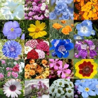  , Lawn & Garden Gardening Plants, Seeds & Bulbs Flowers