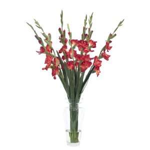  Flowers You Will be Glad You Fell for this Vase of Red Hot Gladiola 