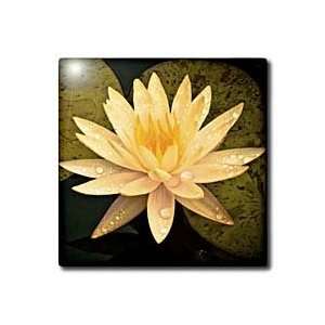  Yellow Lotus Flower   4 Inch Glass Tile