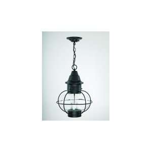  Onion 1 Light Outdoor Hanging Lantern in Gun Metal with Frosted glass