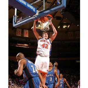  David Lee New York Knicks   Dunk vs. Wizards   Autographed 