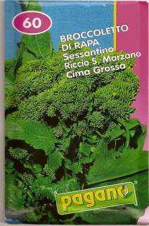 Broccoletto di Rappa S.Marzano Turnip Top Seeds 22 gms  