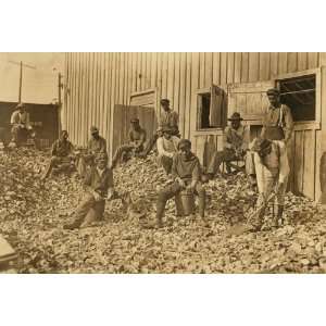  1909 child labor photo Oyster shuckers at Apalachicola 