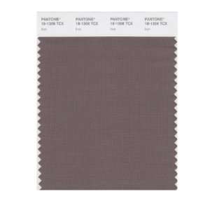  PANTONE SMART 18 1306X Color Swatch Card, Iron