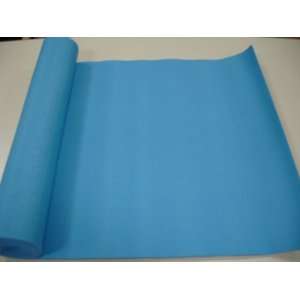  1/4 Thick YogaDirect Yoga Mat  Light Blue Sports 